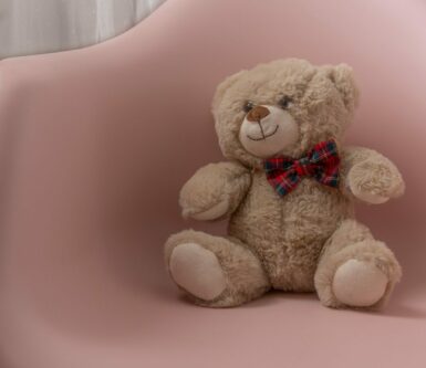 brown bear plush toy on pink chair