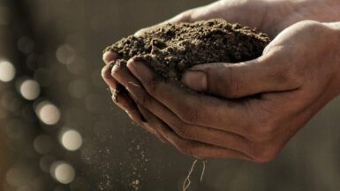 bokeh photography of person carrying soil
