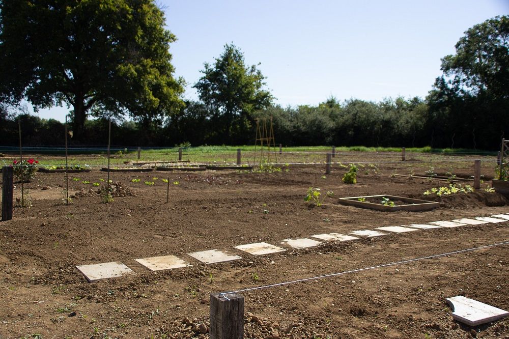 Jardins familiaux